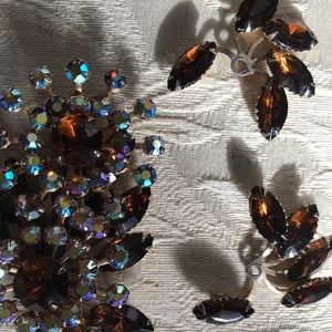 Brooch and matching earrings vintage brown hues